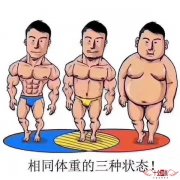相同的体重，不同的身材，你是哪一种？
