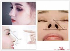 什么鼻型是标准美鼻 你是否符合呢?
