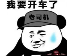 《关注热点》驾照